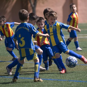 C´s impulsa la promoción de los valores del deporte en las escuelas municipales