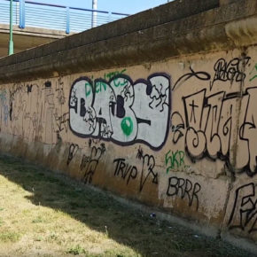 Ciudadanos propone sustituir pintadas por arte urbano en las calles leonesas