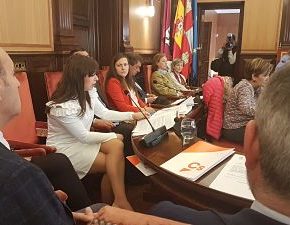 Villarroel: “No apoyaremos un proyecto inadecuado para Ordoño II”