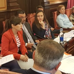 Ciudadanos consigue favorecer la inclusión de niños con necesidades especiales en campamentos municipales