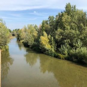 Ciudadanos reclama la limpieza del cauce de los ríos Bernesga y Torío para prevenir inundaciones