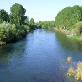 Cs denuncia la dejadez de la Diputación con respecto a la limpieza de los cauces fluviales de la provincia