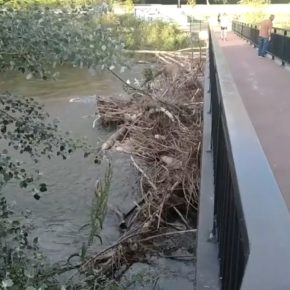 Ciudadanos vuelve a insistir en la limpieza del cauce de los ríos Bernesga y Torío