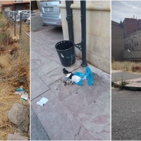 Ciudadanos reclama más limpieza frente a la suciedad y la maleza en las calles de León