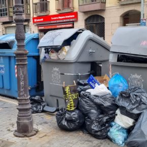 Ciudadanos denuncia que la limpieza “es una asignatura pendiente del alcalde de León”
